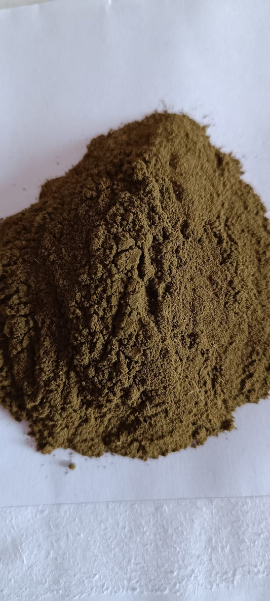 BITTER LEAF Powder. SUN-DRIED 100% FULL BITTERNESS. 40g